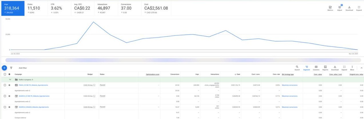 Canada Google Ads — 318K Impressions